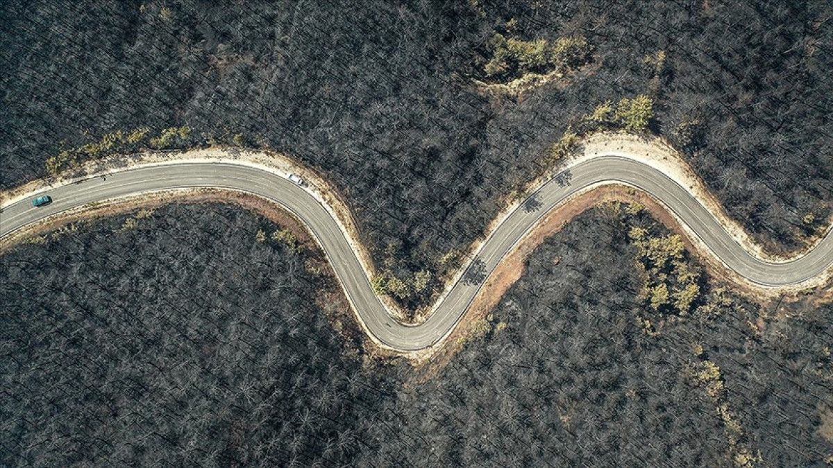 Yardımlar ve Destekler