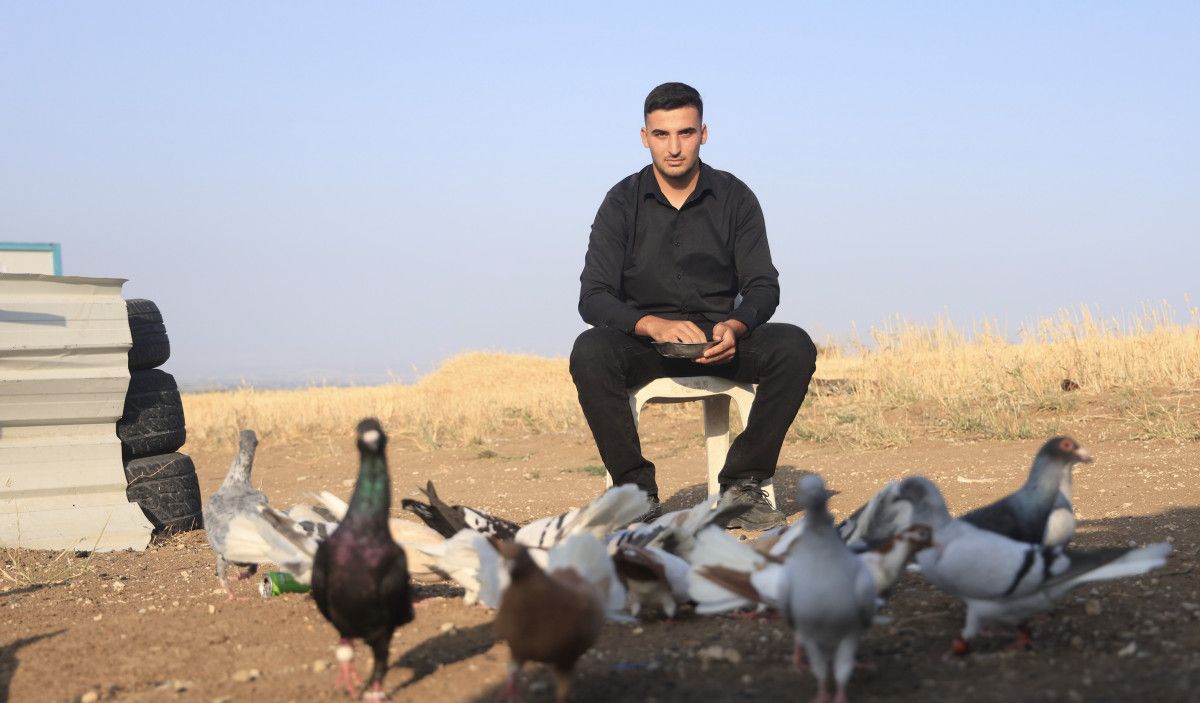 Güvercin Bakımında Uzmanlaşmış Bir Hobi