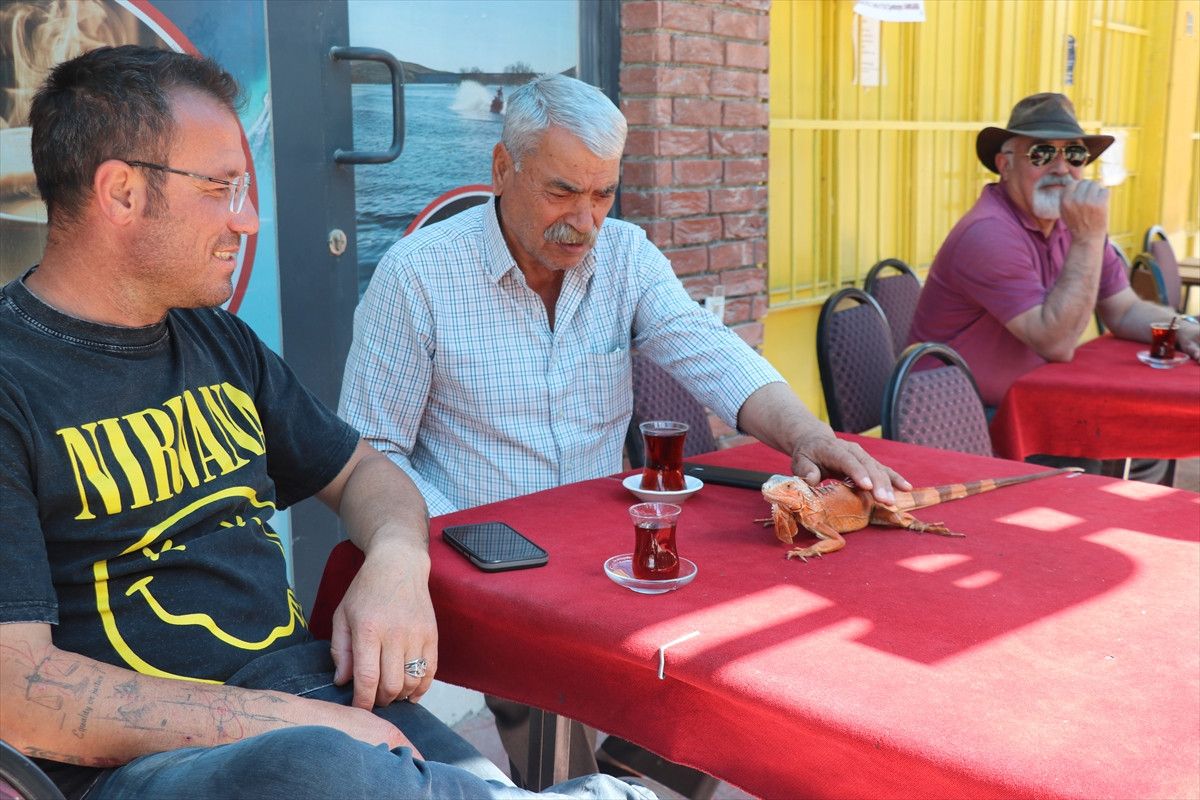 Bahadın Beldesinde Bir Kafenin En İlgi Çekici Sürprizi: Ökkeş