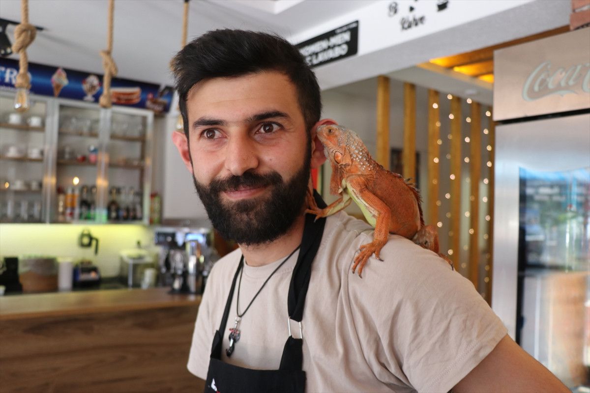 Yozgat Sorgun'da Maskot Iguana Ökkeş: Beldenin Sevilen Simgesi