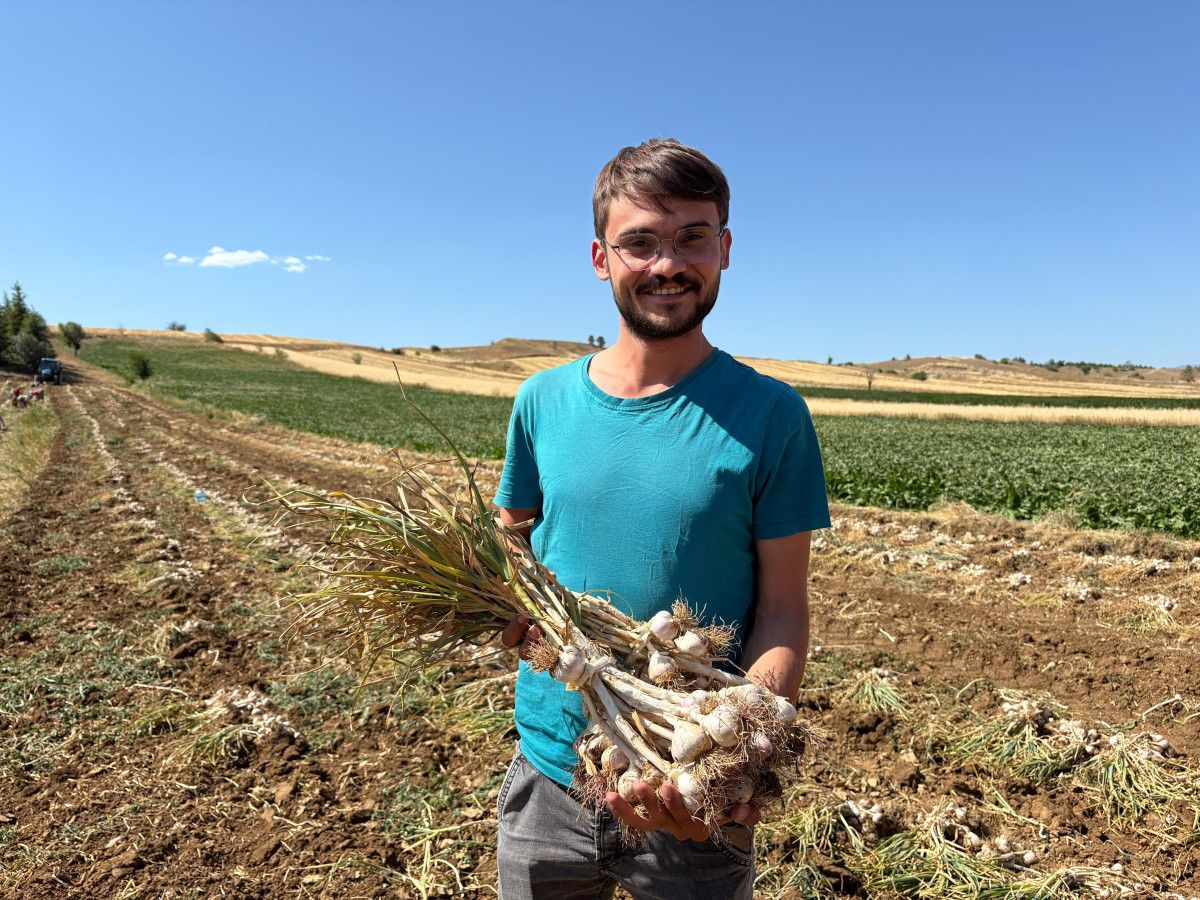 Sarımsak Pazarında Fiyatlar ve Talep