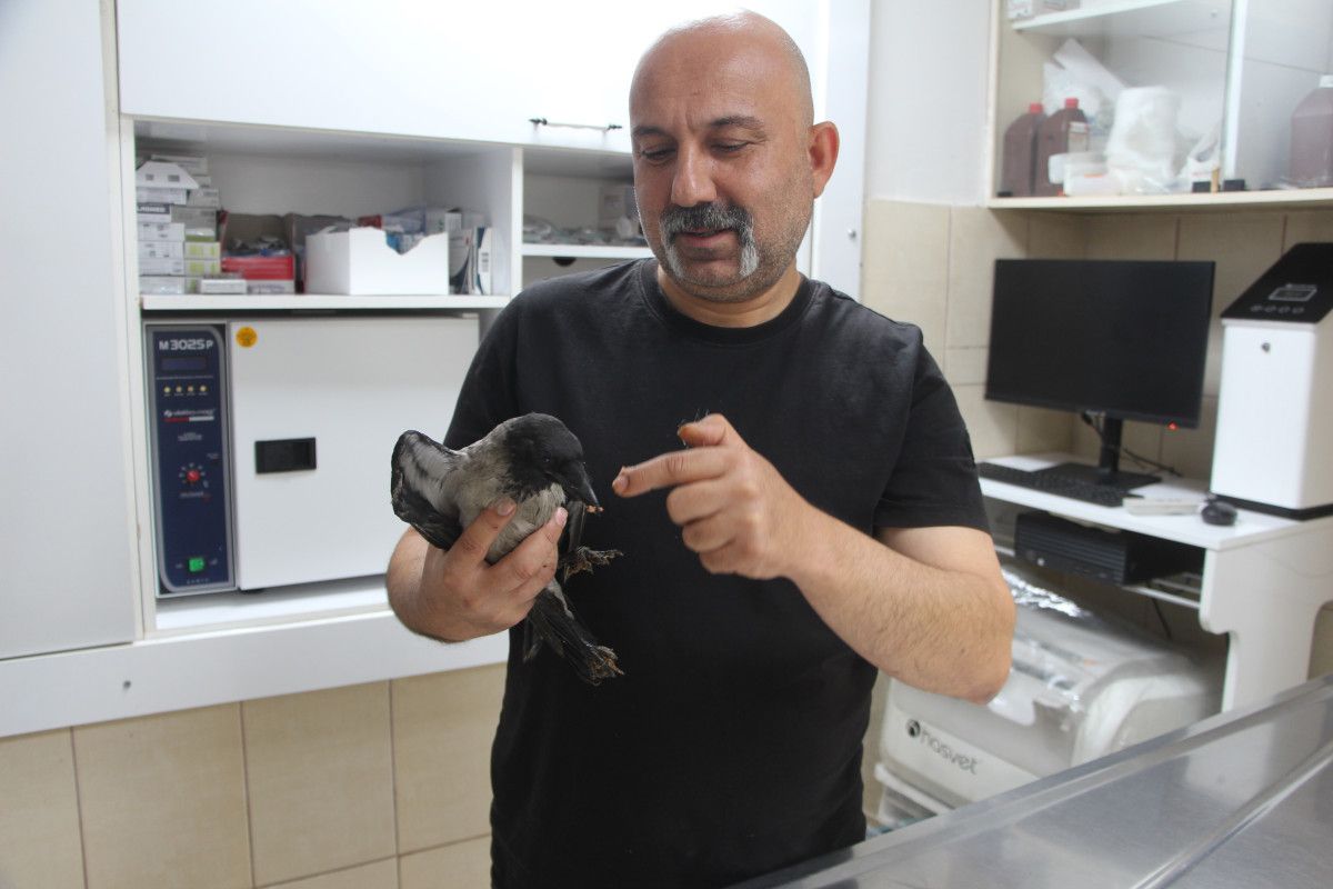 İyileşme Süreci ve Bağ Kurma