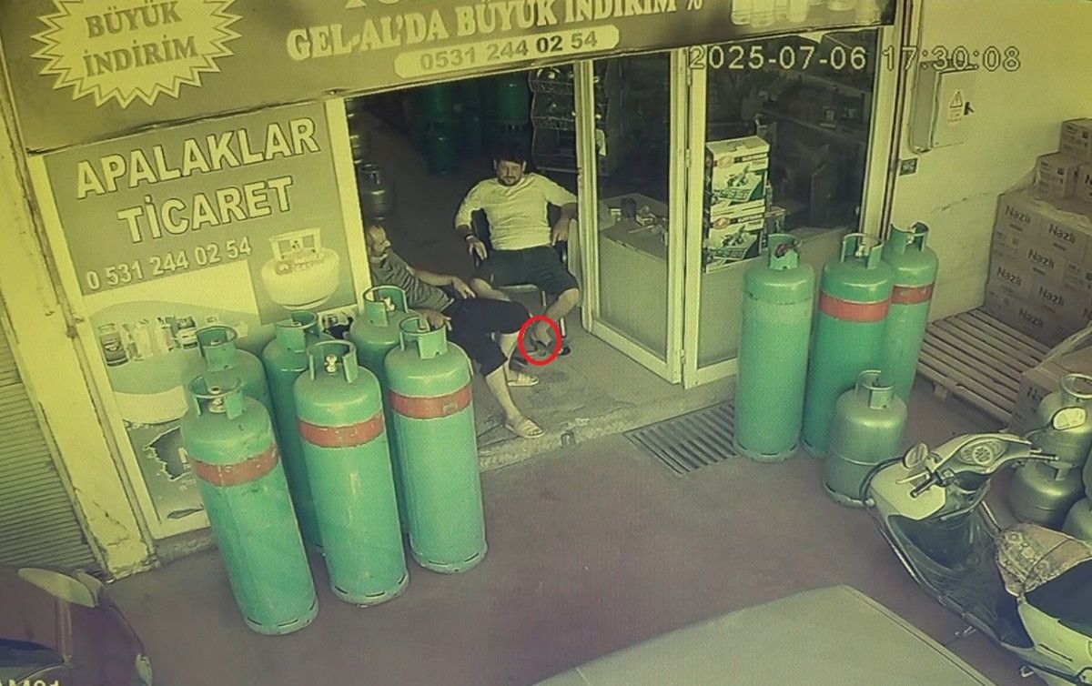 Payallar Mahallesinde Beklenmedik Yılan Olayı