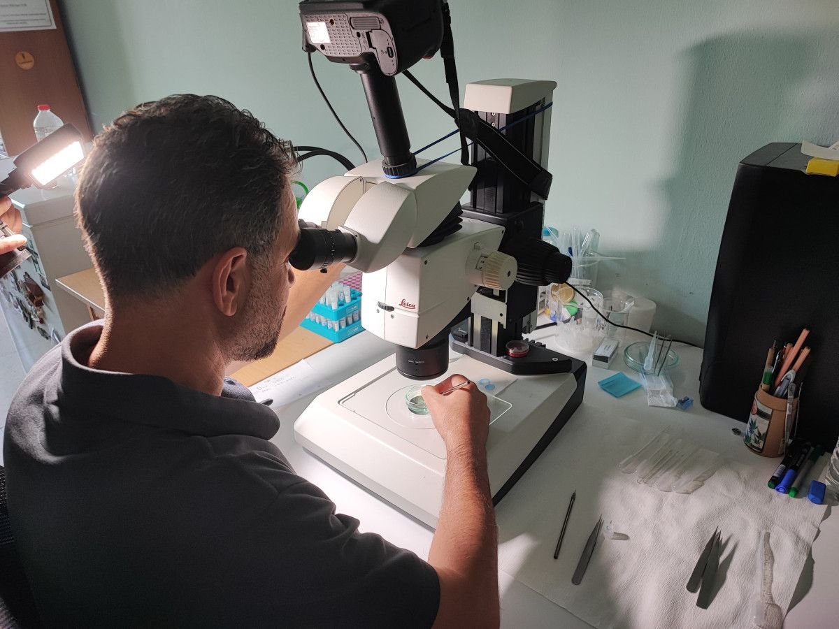 Denizlerin ısınması ve küresel ısınma ile ilişkisi