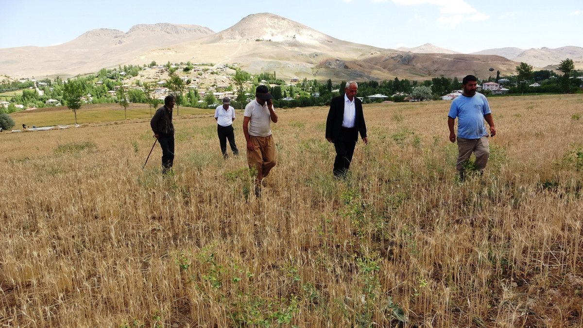 Çiftçiler ve Mahalle Sakinleri Su Sorununun Çözümünü Talep Ediyor