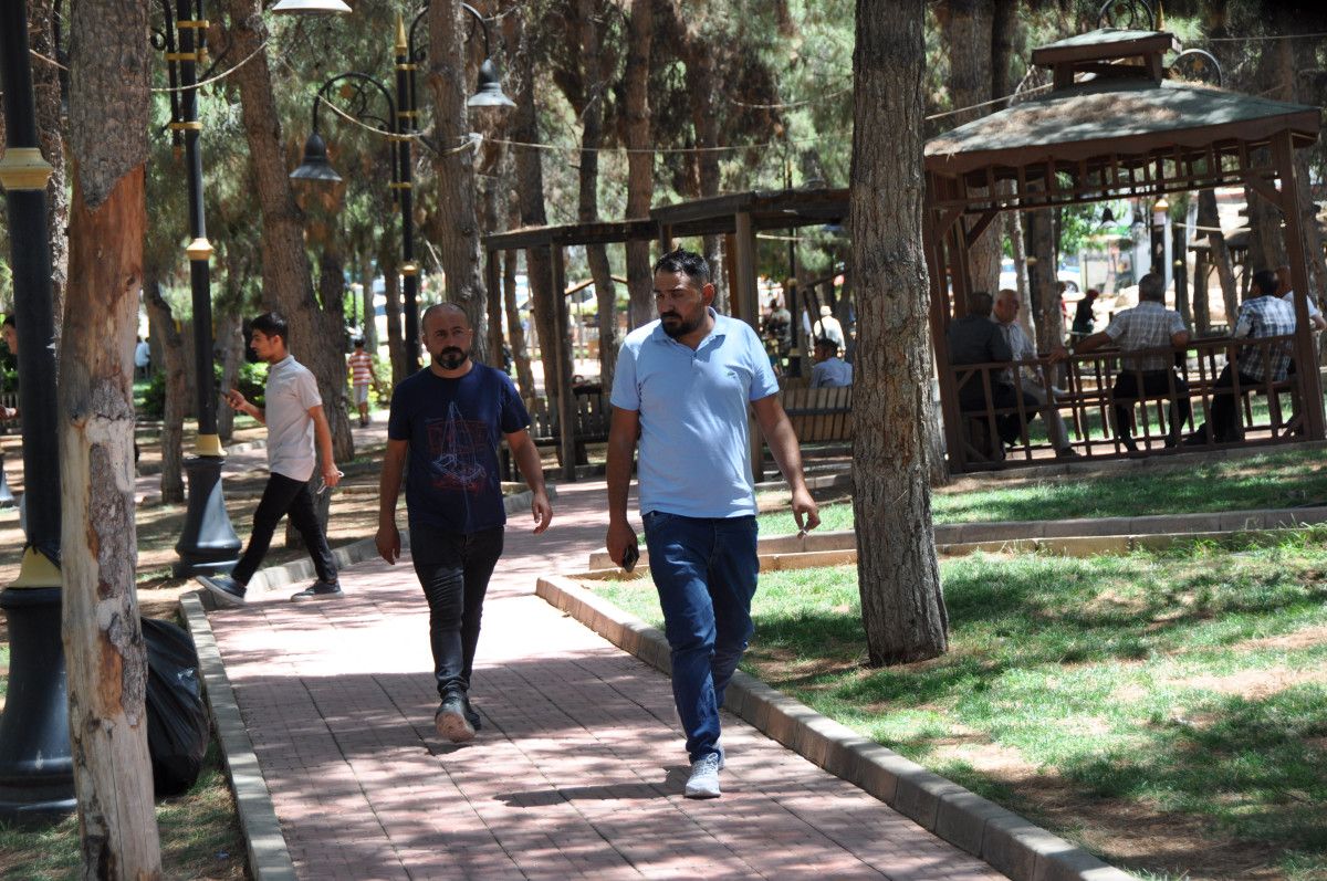 Gölgelik ve Serinleme Çabaları