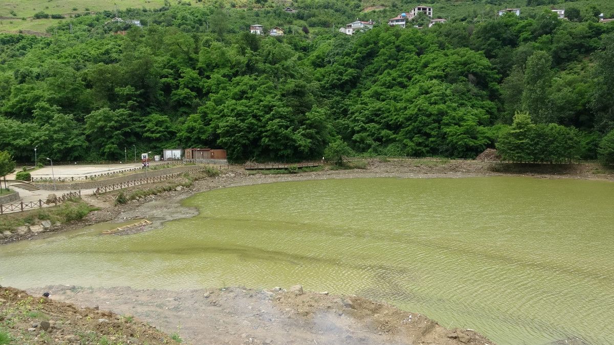 Mevsimsel Etkiler ve Güncel Durum