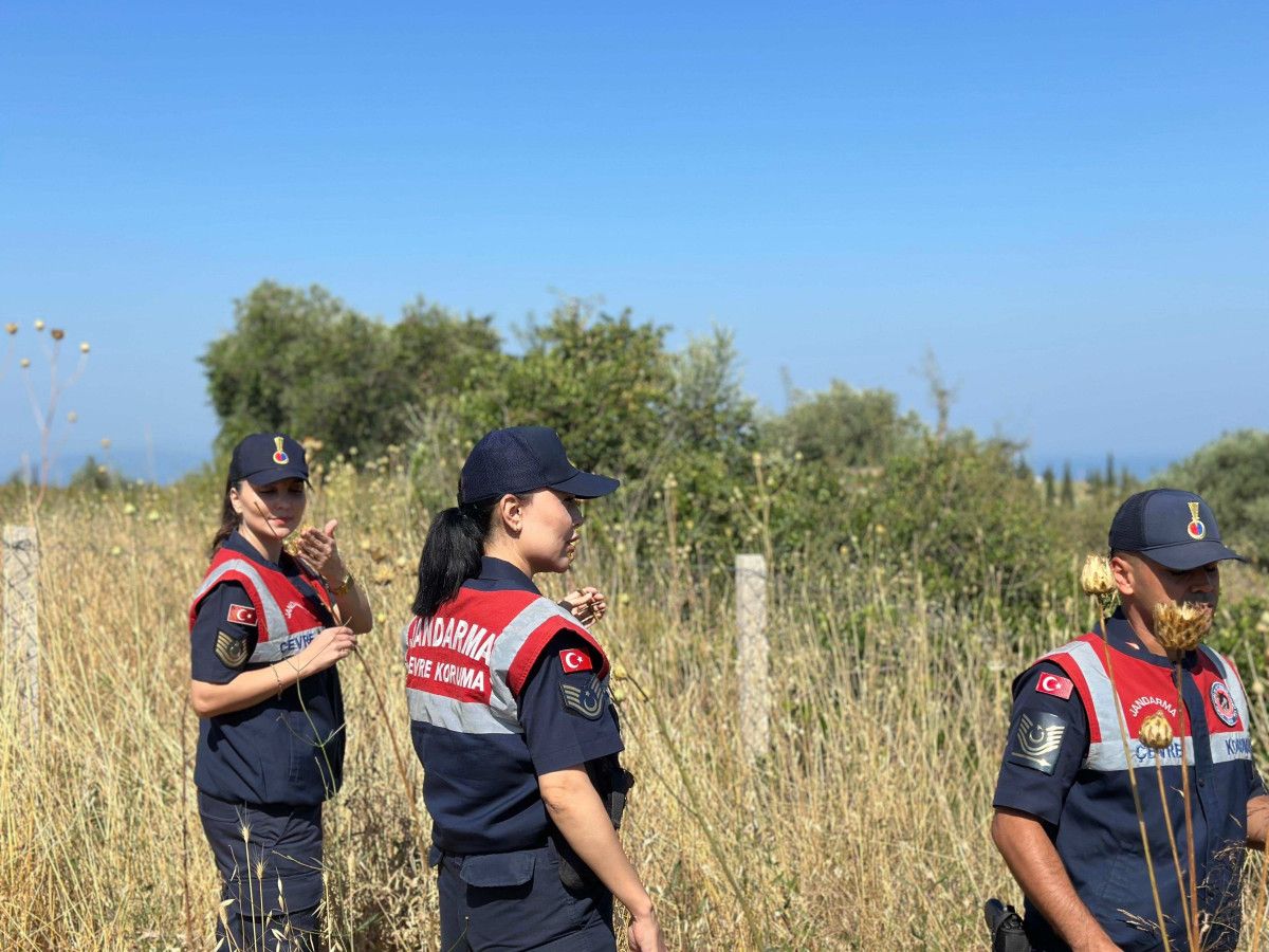 Aydın İl Jandarma Komutanlığı'ndan Çevre ve Doğa Koruma Çalışmaları