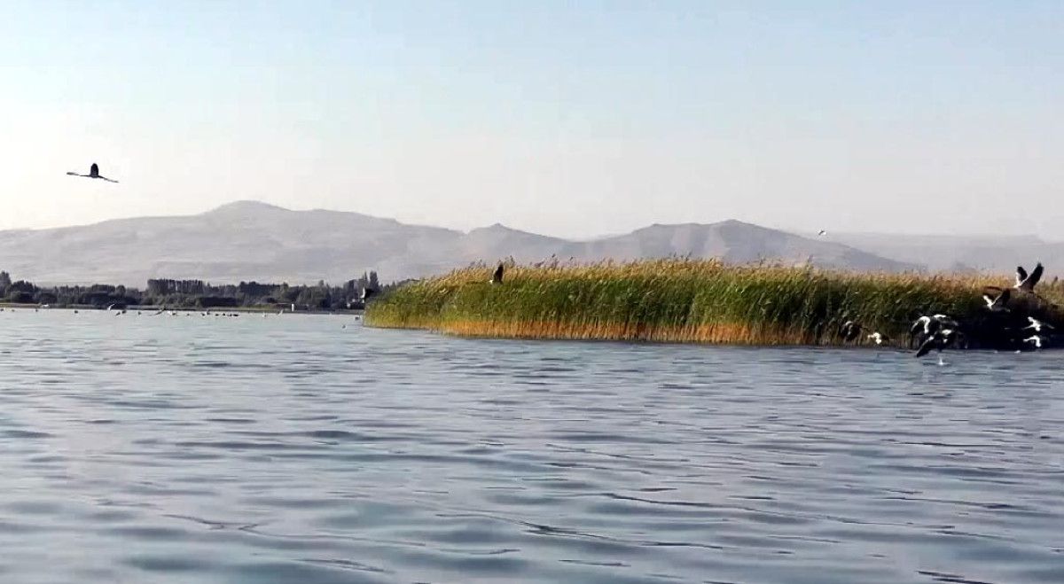 Göl Çekilmesi ve Bölgesel Etkiler