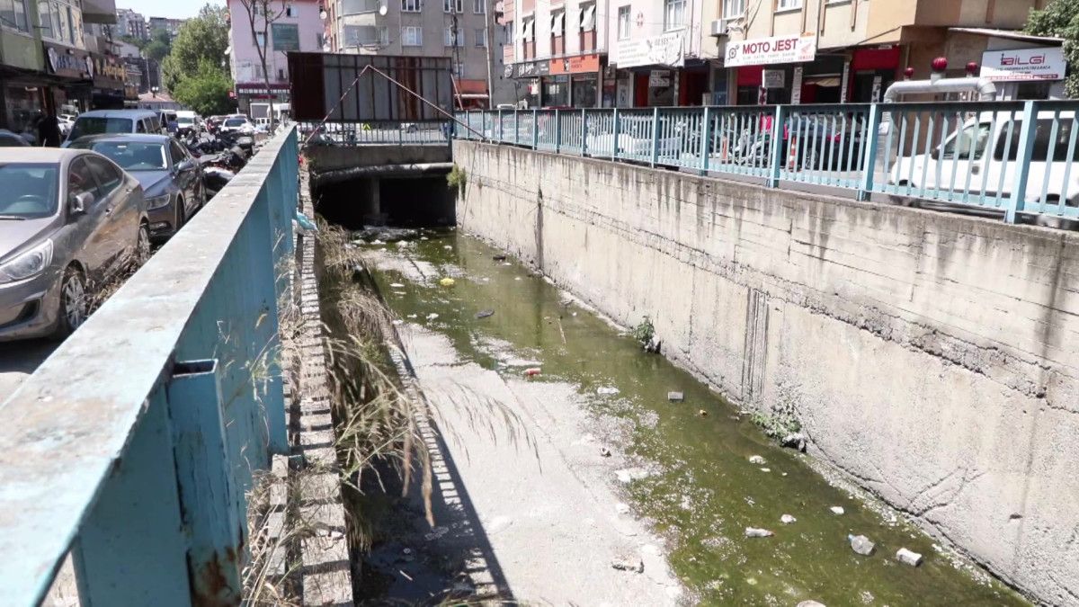 Yerel Halkın Şikayetleri ve Çözüm Talepleri