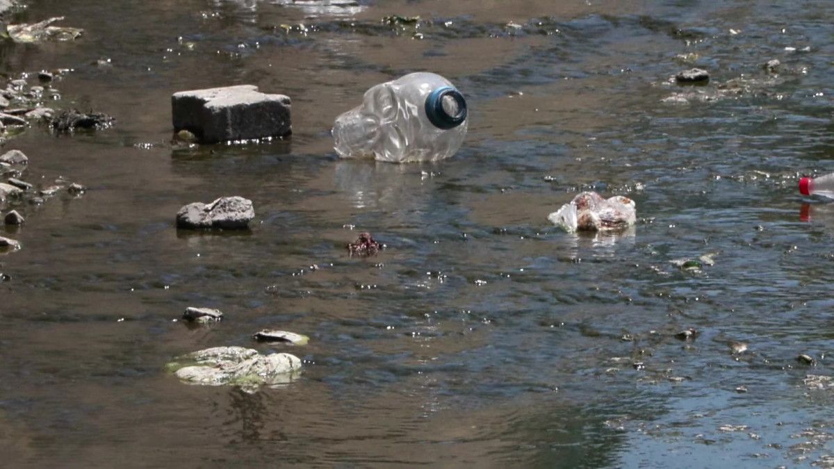 İstanbul Kağıthane'de Galata Deresi'nde Kirlilik ve Sağlık Çalışmaları