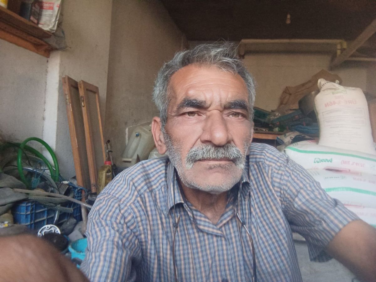 Olgunlaşmamış Üzümlere İlgi Göstermiyorlar