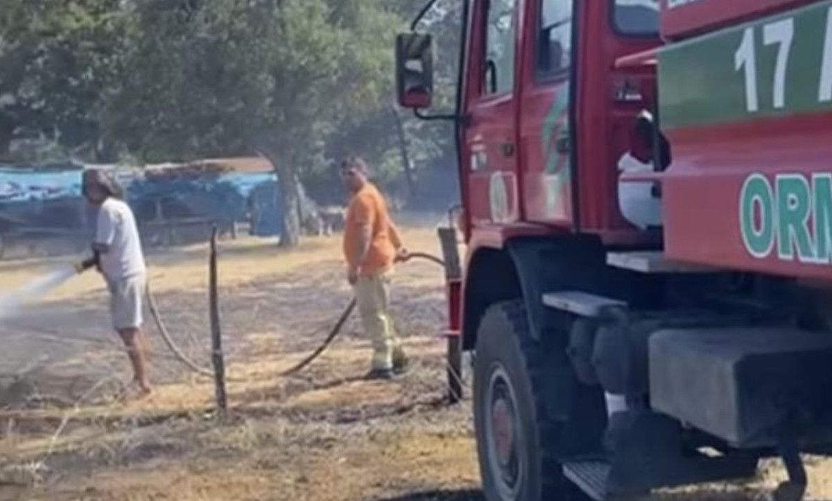 Çanakkale'nin Bayramiç İlçesine Bağlı Tongurlu Köyünde Çıkan Yangın ve Gelişen Olaylar