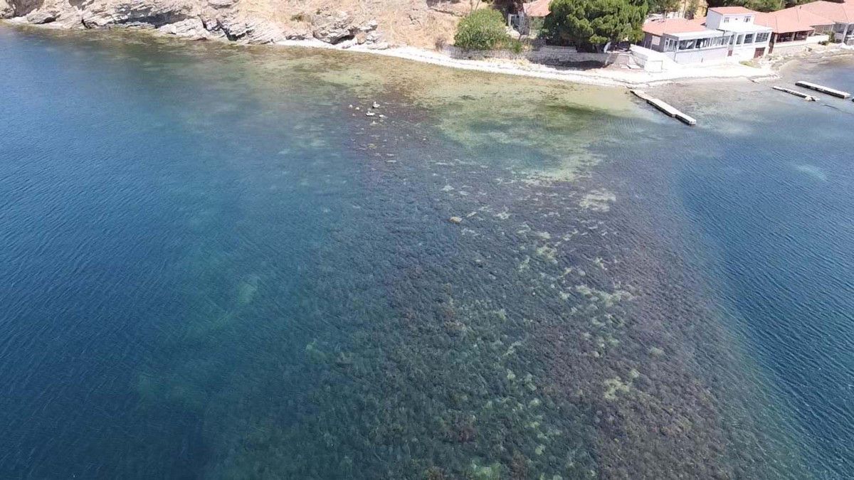 Çanakkale'nin Biga ilçesi, tarihin derinliklerinden gelen önemli buluntulara ev sahipliği yaparak arkeoloji ve tarih severleri şaşırtmaya devam ediyor. Özellikle Kemer köyünde gerçekleştirilen su altı kazılarında, yaklaşık 2 bin 700 yıl öncesine ait olduğu düşünülen antik Troas bölgesinde, tarihi liman kenti Parion'da yeni keşifler yapıldı.