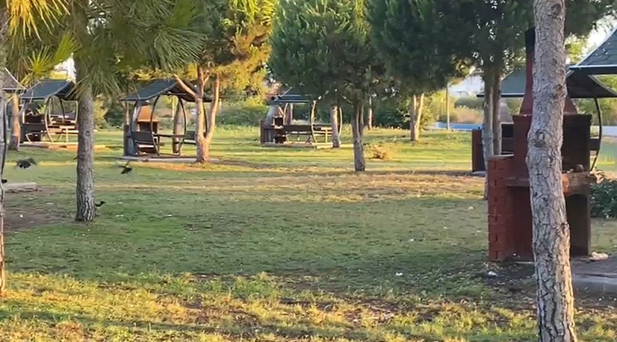 Tanıkların Gözünden Olayın Detayları