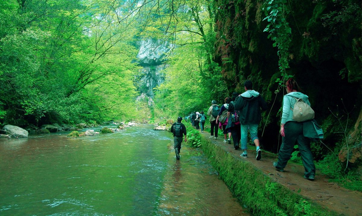 Sakarya'da Kuraklık ve Doğa Manzarasında Büyük Değişim