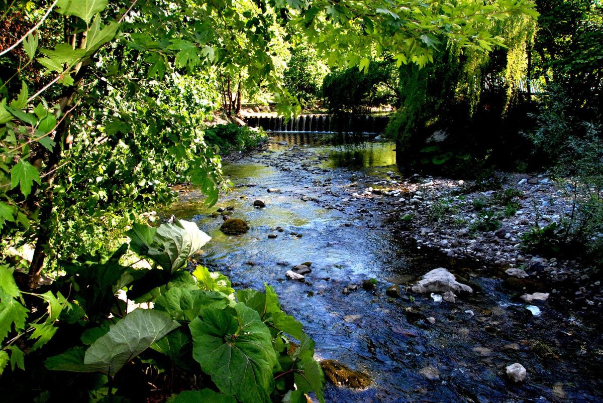 Sakarya'da Kuraklık ve Doğa Manzarasında Büyük Değişim