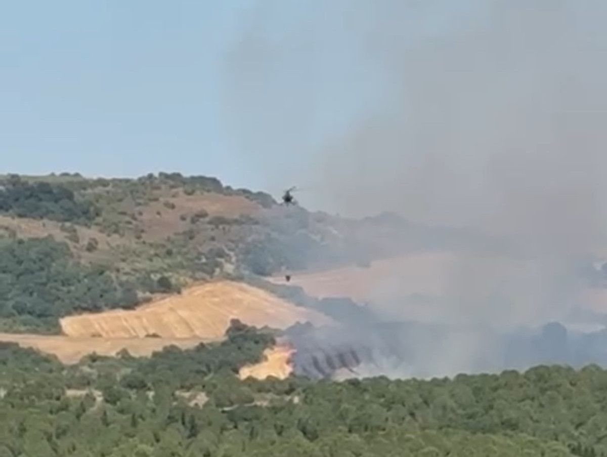 Müdahale ve Çalışmaların Durmaksızın Sürdürülmesi