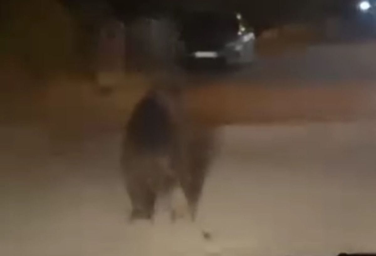 Erenler ilçesinde beklenmedik bir olay yaşandı