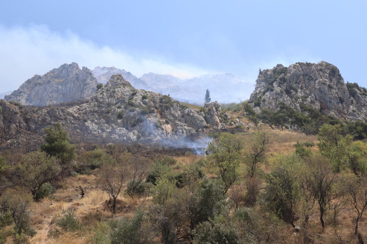 Hatay'ın Antakya İlçesinde Büyük Yangın Alarmı
