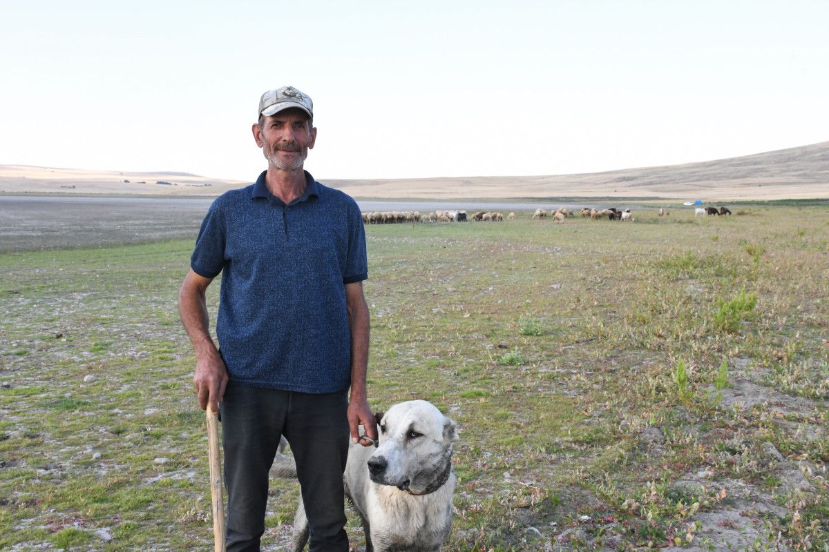 Doğal Güzelliklerin ve Kuş Cenneti'nin Buluşma Noktası: Gelingüllü Barajı