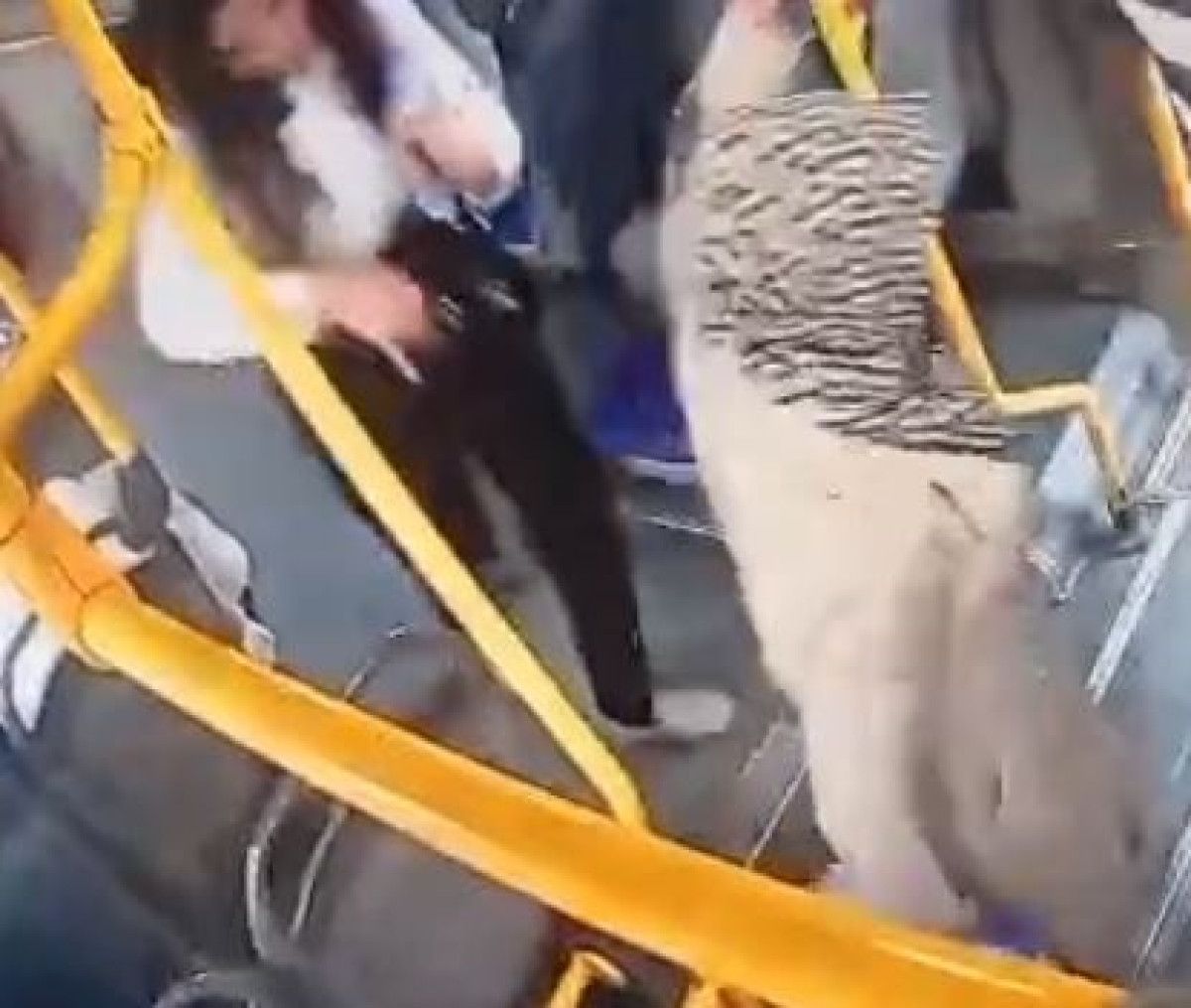 Gaziantep'te Bir Unutkanlık ve Yardımlaşma Hikayesi