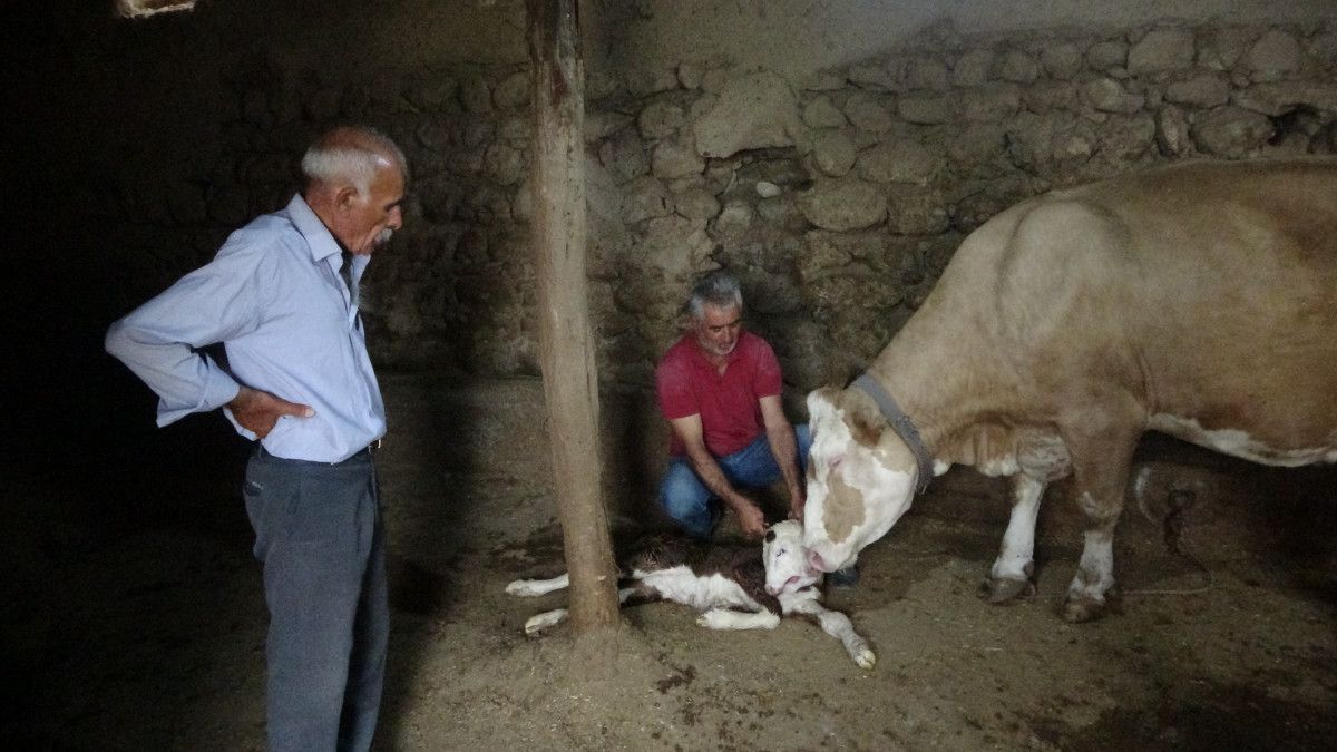 Olayın Araştırılması ve Olası Sebepler