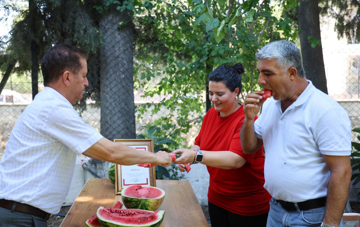 Diyarbakır Karpuzunun Durumu ve Tartışmalar