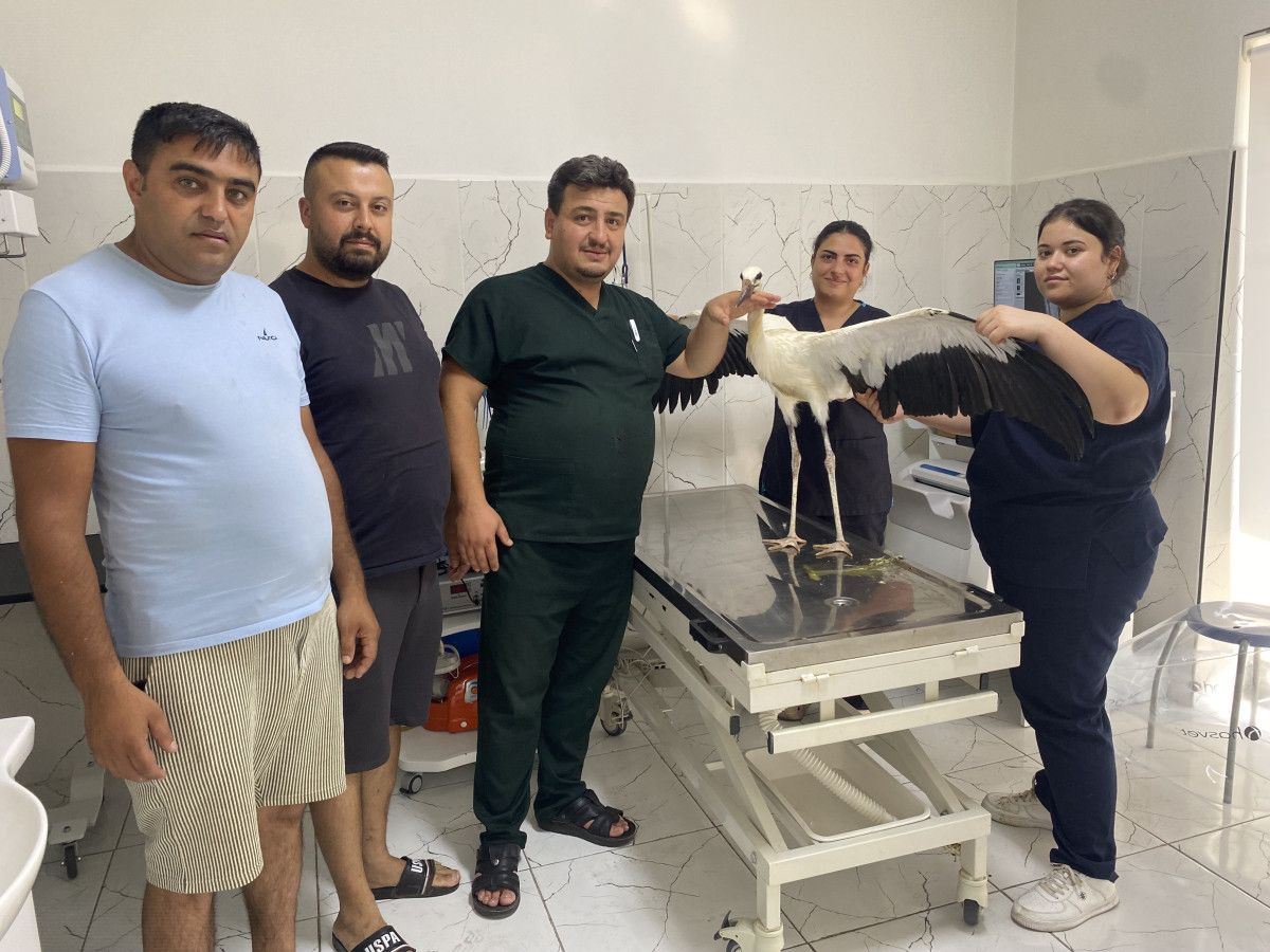 Yaralanma veya kırık belirtisi yok, ancak ciddi su kaybı tespit edildi