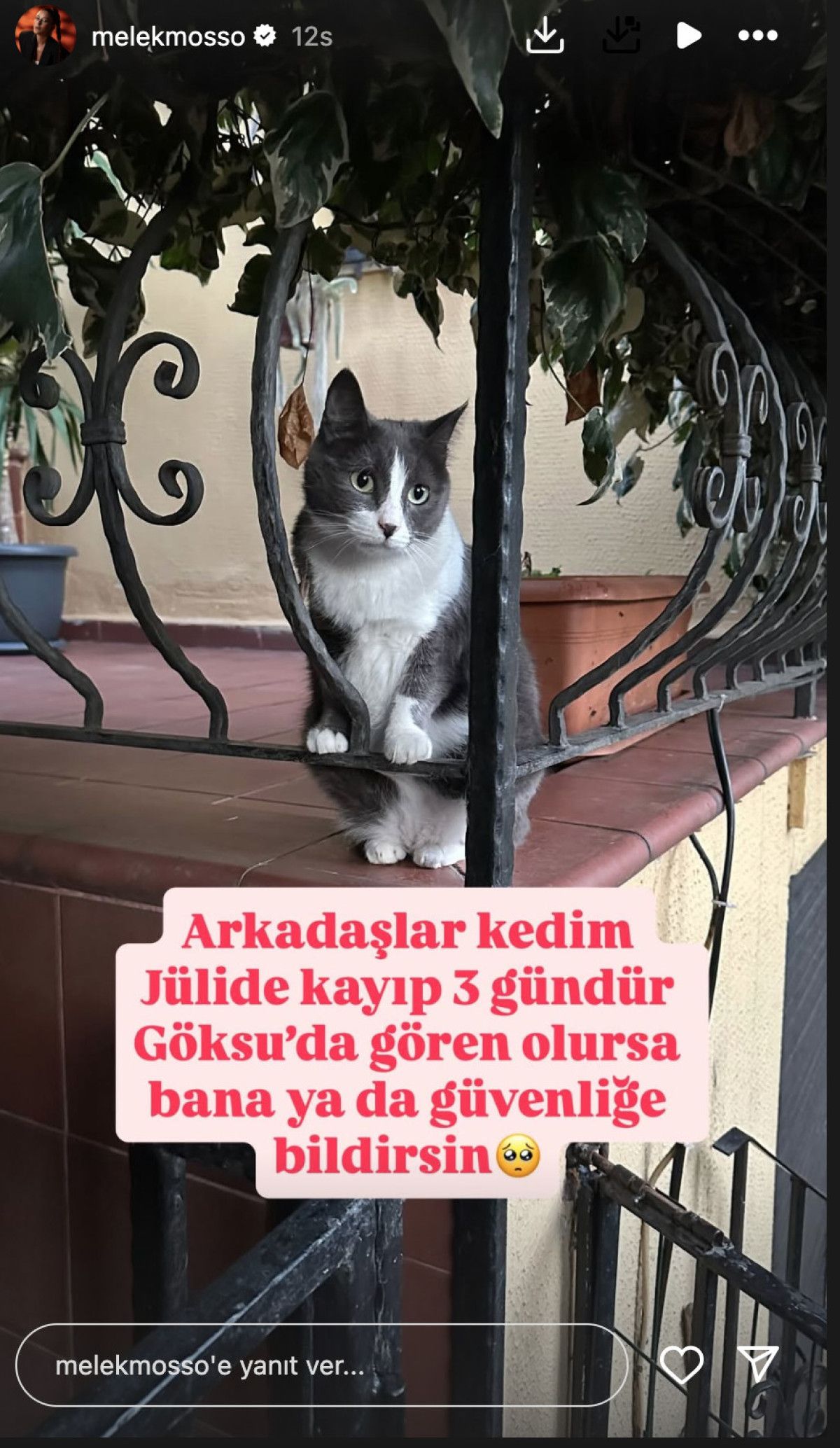 Ünlü İsimden Evlilik ve Aşk Hikayeleri