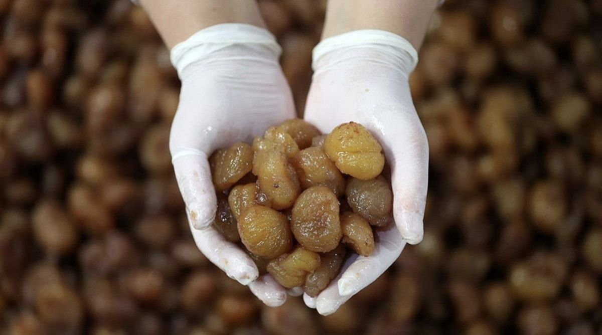 Türk Patent ve Marka Kurumu Başkanı Muhammed Zeki Durak'tan Önemli Açıklama