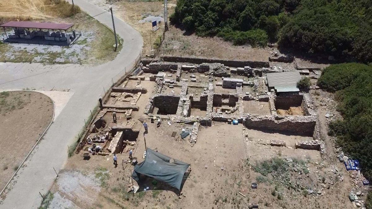 Uluslararası İş Birliği ve Eğitim Çalışmaları