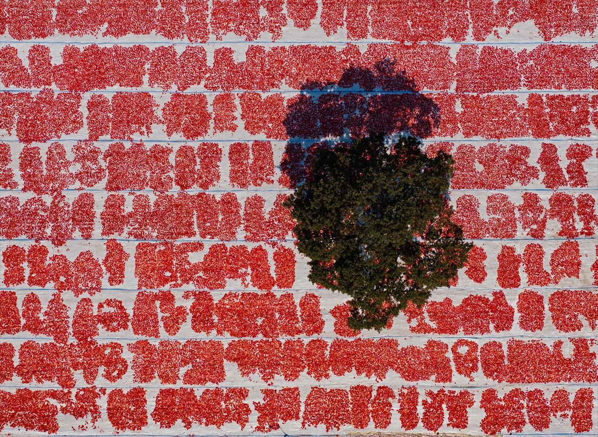 Lezzet ve Uluslararası İlgi