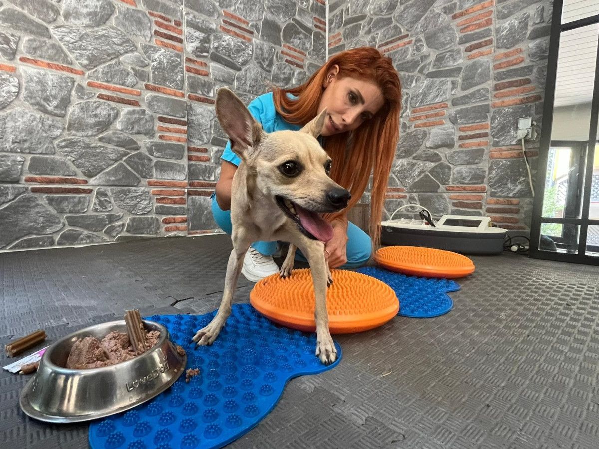 Lucky'nin Sağlık Sorunu ve Tedavi Süreci