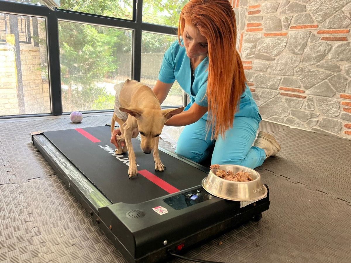 Çiftin Ayrılığı ve Lucky’nin Durumu