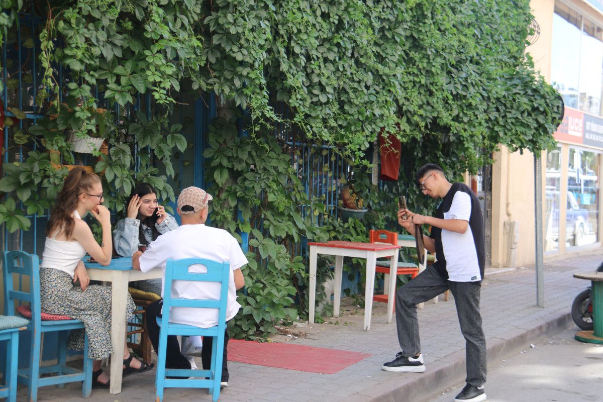 Sivas'ta Sarmaşıklarla Kaplı Sakin ve Nostaljik Kafe