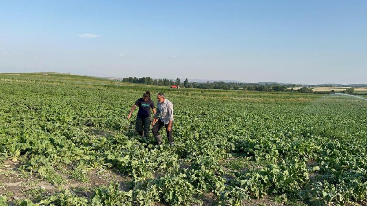 Kars'ın Zorlu Doğasında Bir Aile ve Pancar Hikayesi