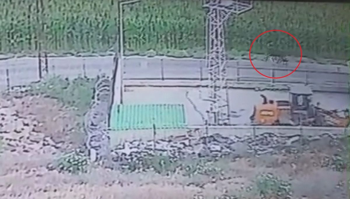 Hatay'da Çiftliğe Uruguay'dan Getirilen Anguslar Kayboldu, Sahipleri Endişeyle Bekliyor