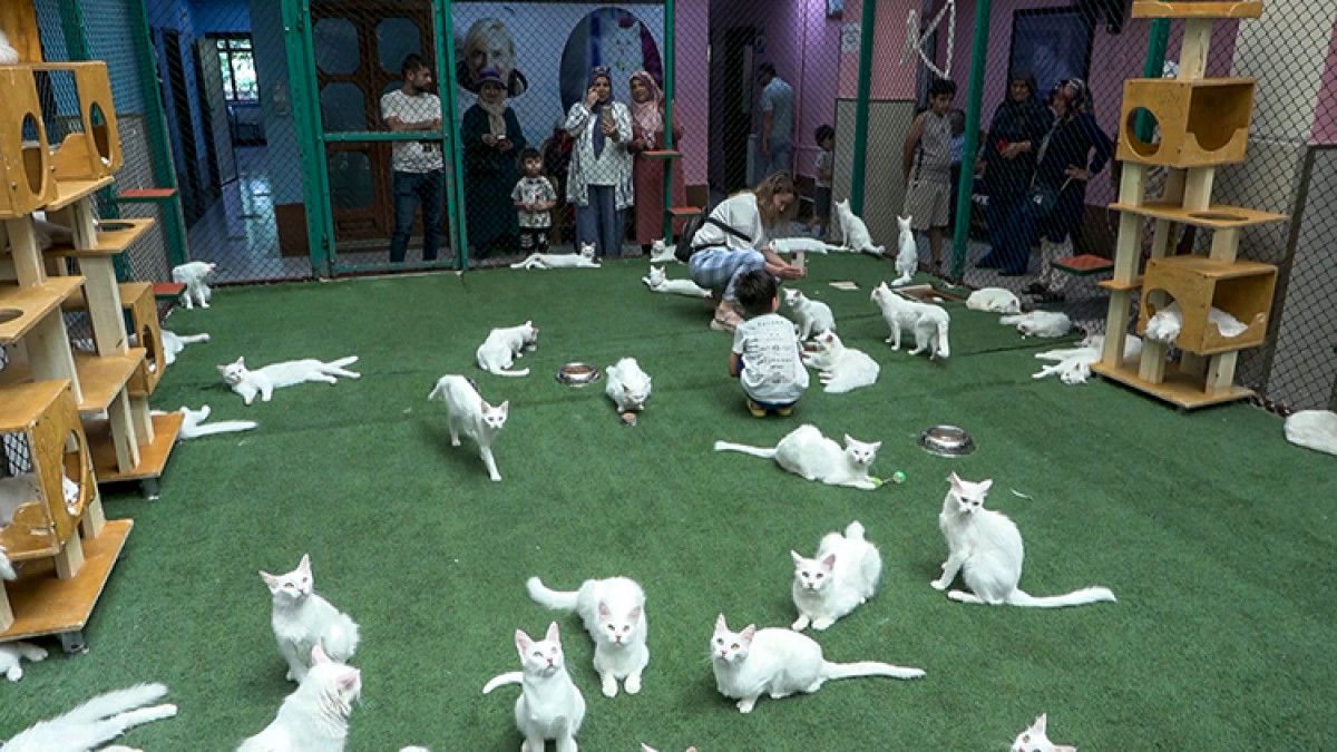 Sağlık ve Kimlik Belgeleriyle Güvence