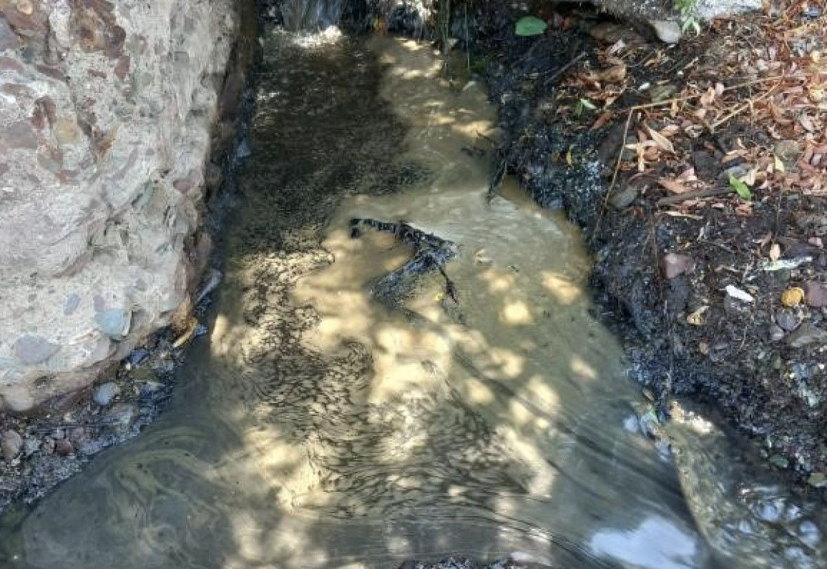 Yalova’nın Çiftlikköy İlçesinde Deniz Kirliliği Alarmı