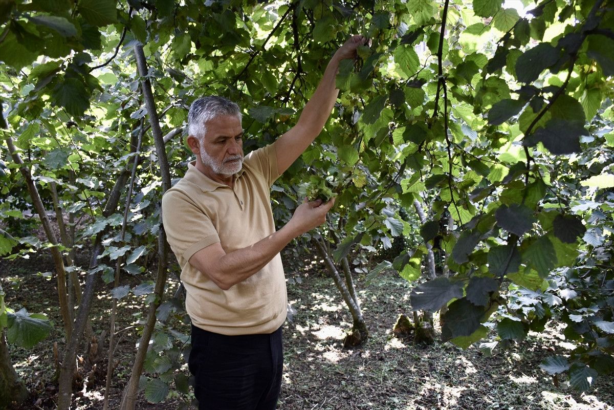 Bu Sezon Umutlar Yüksek: Kokarca ve Zararlılarla Mücadele