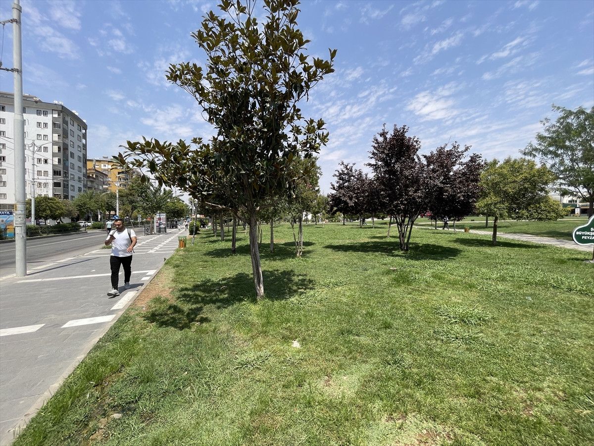 Şanlıurfa yanıyor: Termometreler 55 dereceyi gösterdi