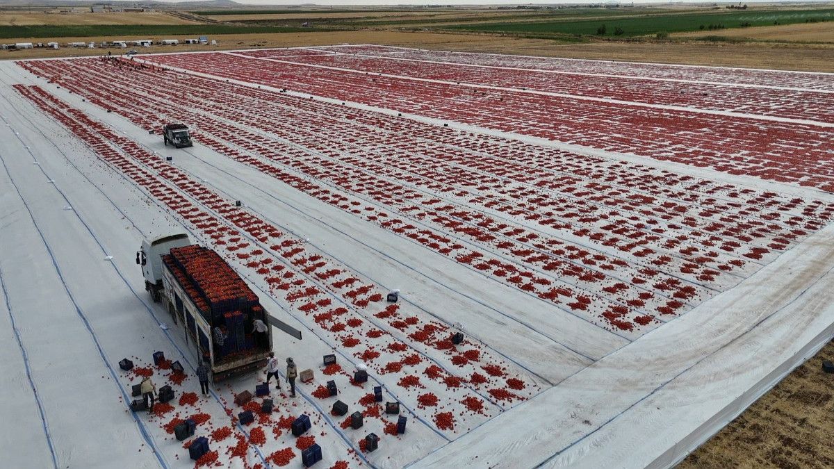 Üreticilerin ve İşçilerin Deneyimleri