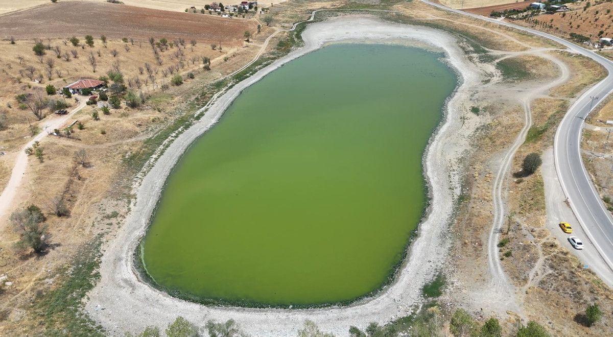 Gelişmeler ve Yetkililere Talepler