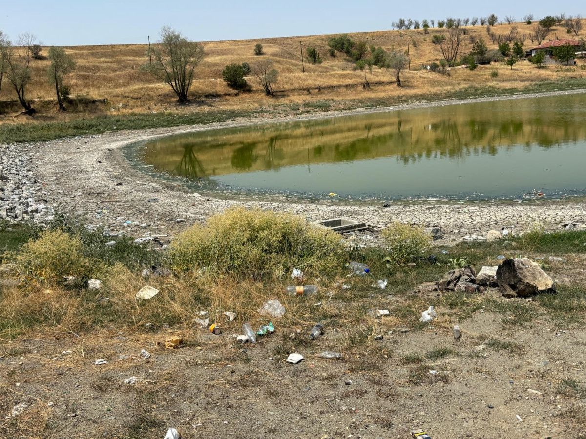 Gelişmeler ve Yetkililere Talepler