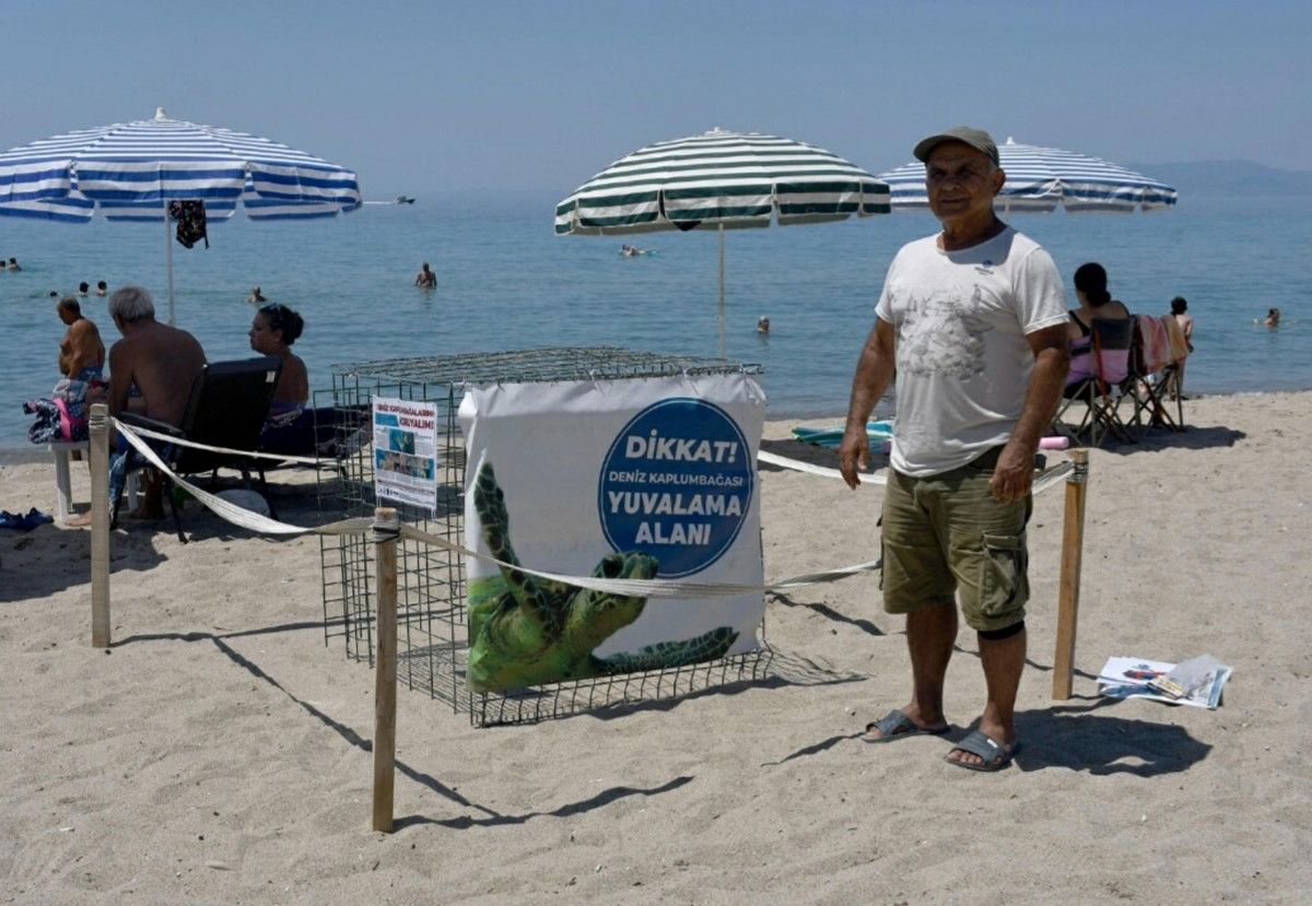 Yavru Caretta Caretta Yavrularının Güvenli Ulaşımı