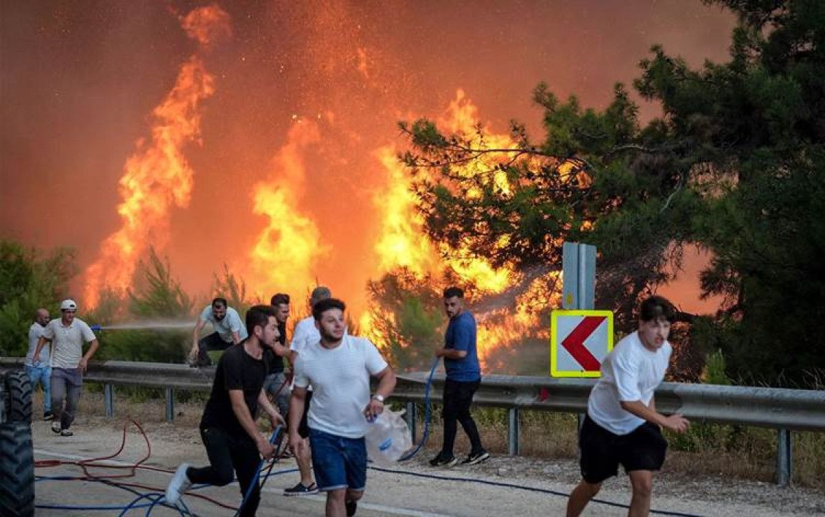 Yeniden Yeşillendirme ve Doğal Dönüşüm Süreci