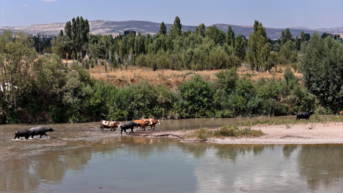 Çamur Banyosu ve Doğal Serinleme