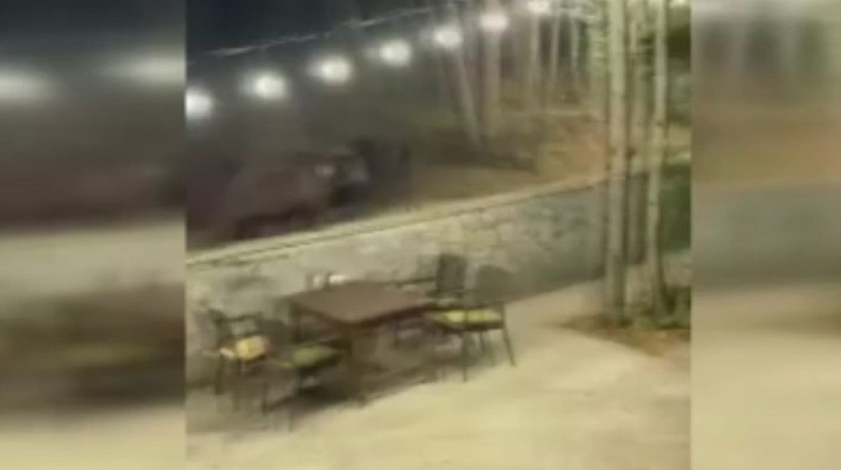 Ayının Restoranlara İndiği Anlar