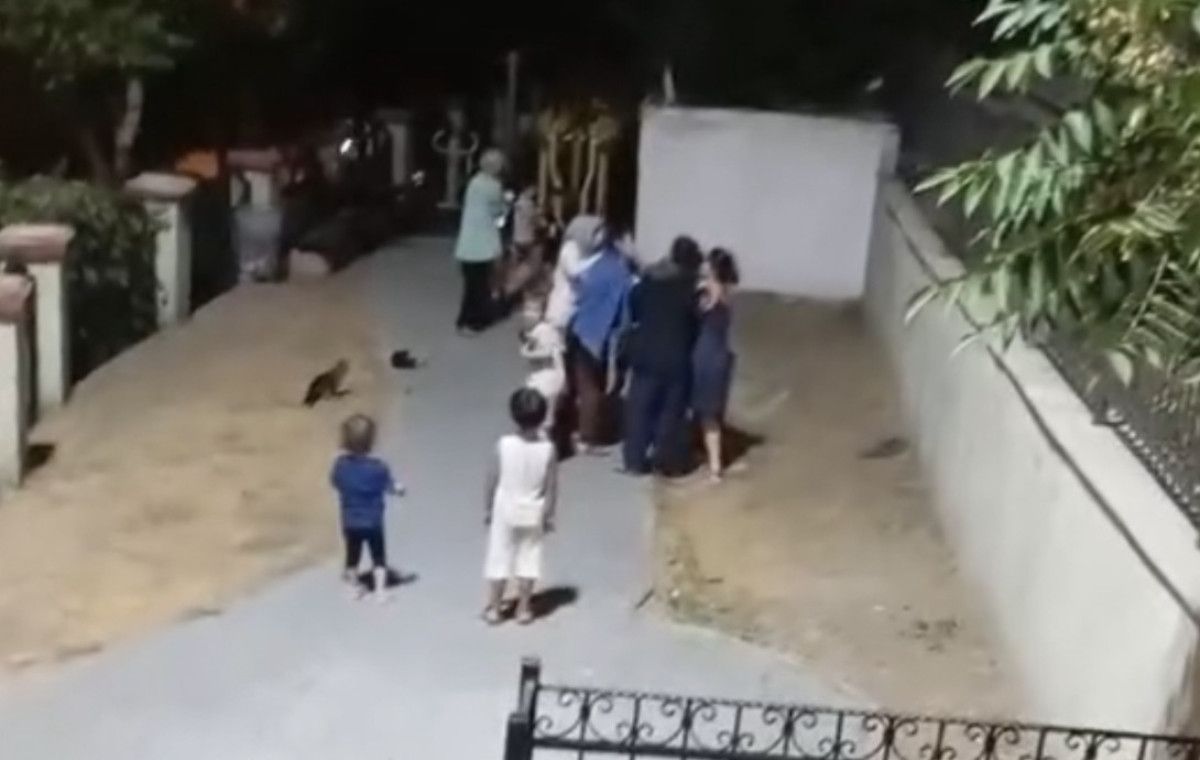 İstanbul'da parkta çocuklar arasındaki kavgaya anneler de dahil oldu